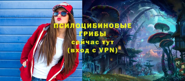 амф Алексеевка