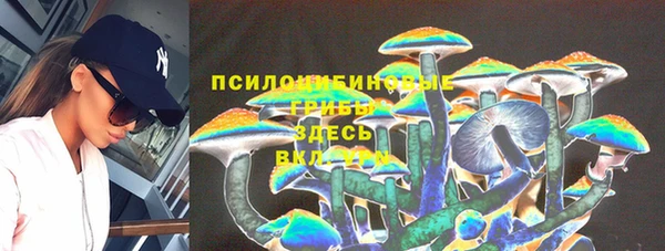 амф Алексеевка